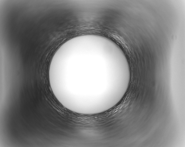 X0000096431444200801241014