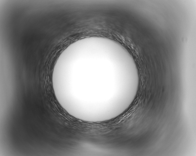 X0000096431445200801241014