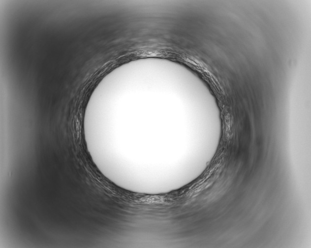 X0000096431446200801241014