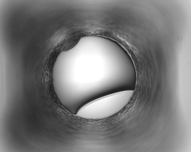 X0000096431447200801241014