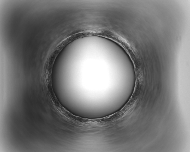X0000096431448200801241014