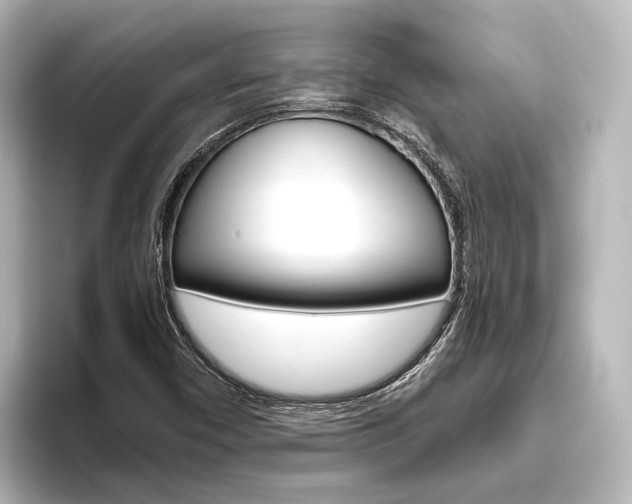 X0000096431450200801241014
