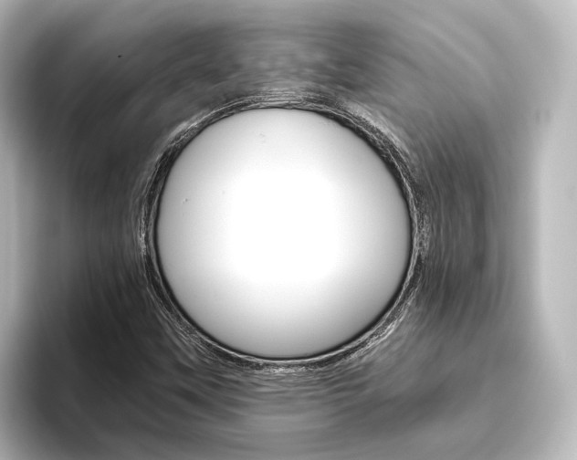X0000096431451200801241014