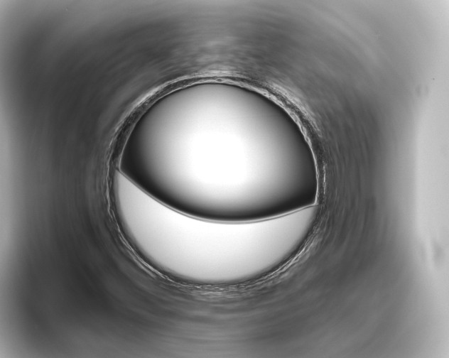 X0000096431452200801241014