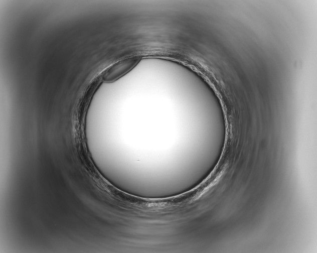 X0000096431453200801241014