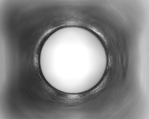 X0000096431454200801241014