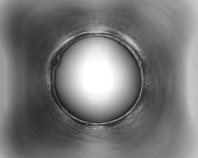 X0000096431456200801241014