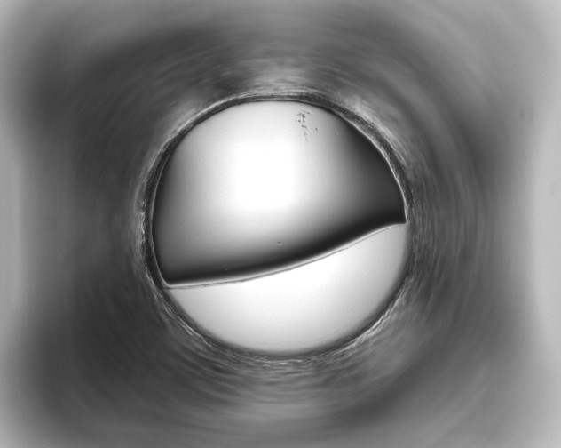 X0000096431459200801241014
