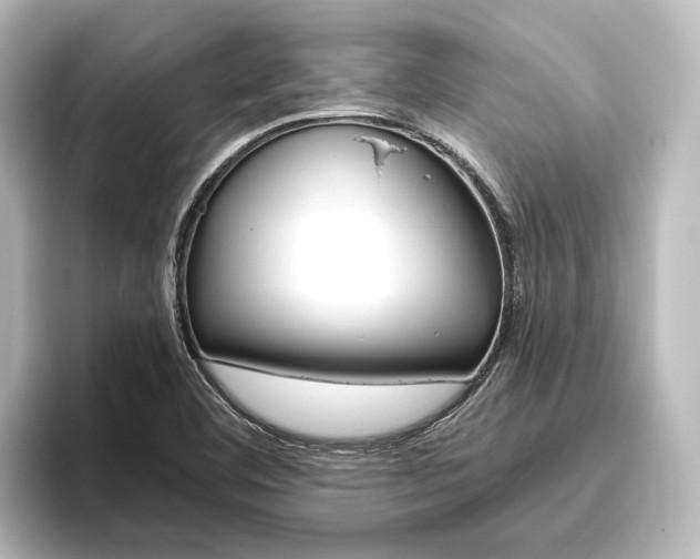 X0000096431460200801241014
