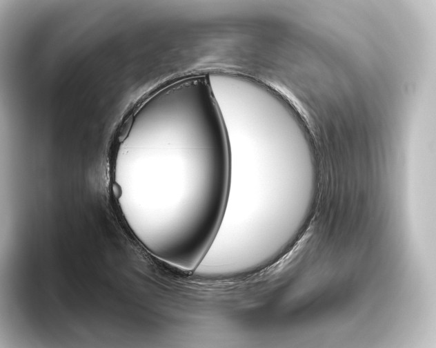 X0000096431461200801241014