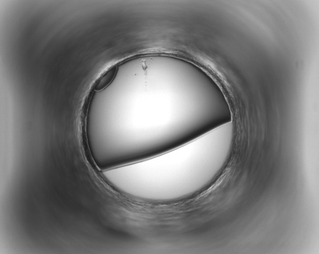 X0000096431463200801241014