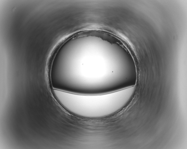 X0000096431464200801241014
