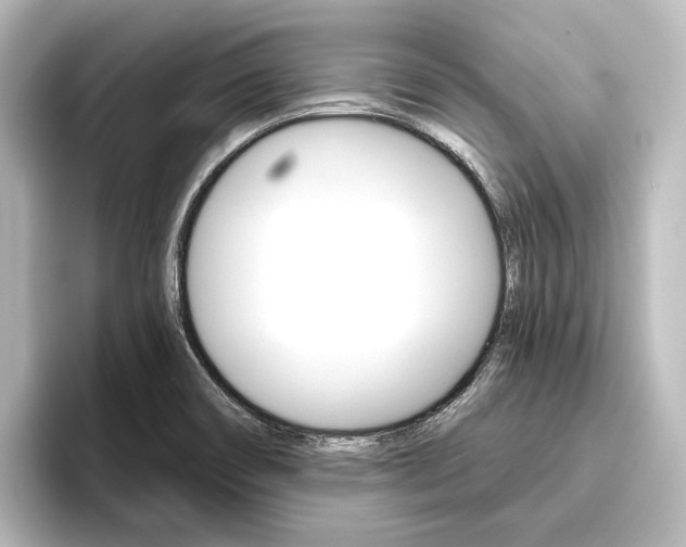 X0000096431466200801241014