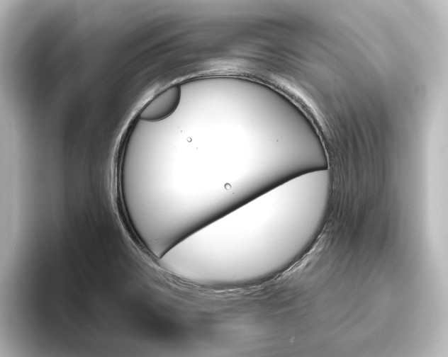 X0000096431467200801241014