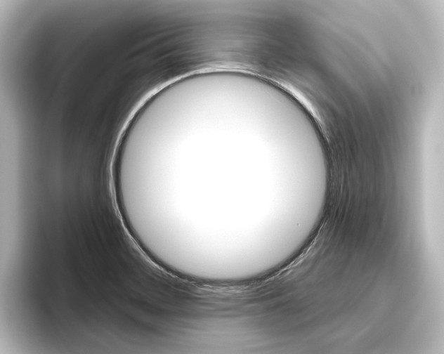 X0000096431468200801241014