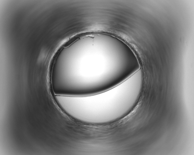 X0000096431469200801241014