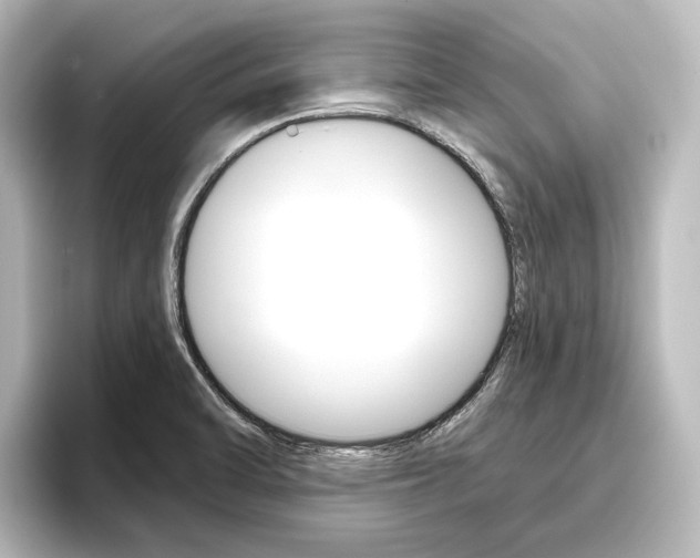 X0000096431470200801241014