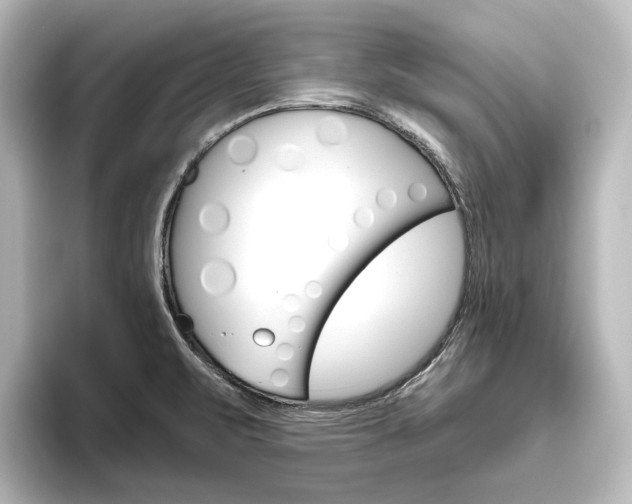 X0000096431471200801241014