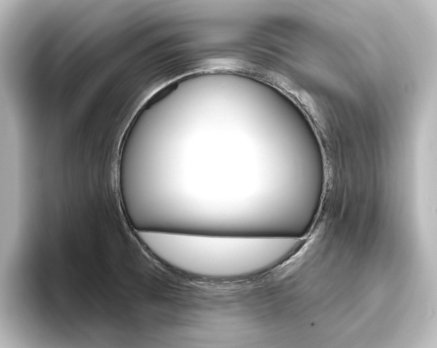X0000096431473200801241014