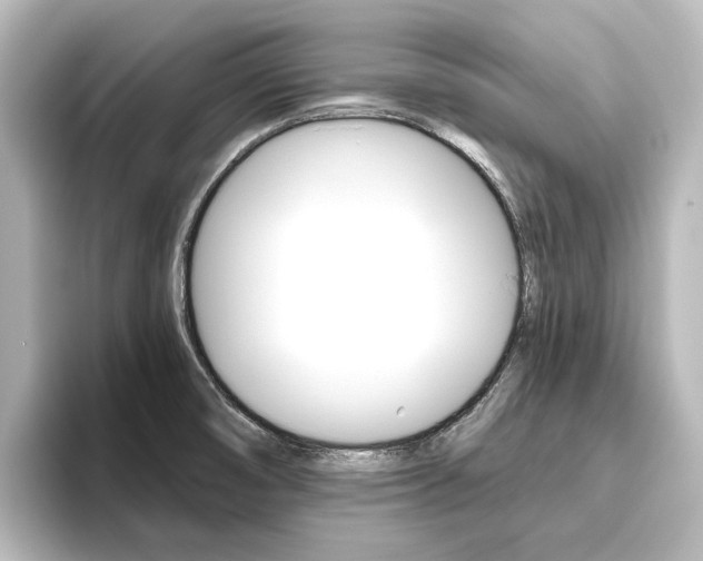 X0000096431474200801241014