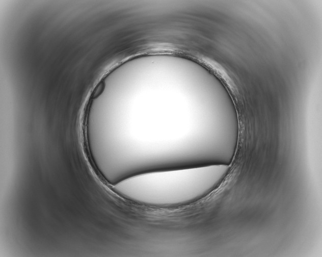 X0000096431475200801241014