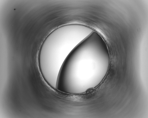 X0000096431476200801241014