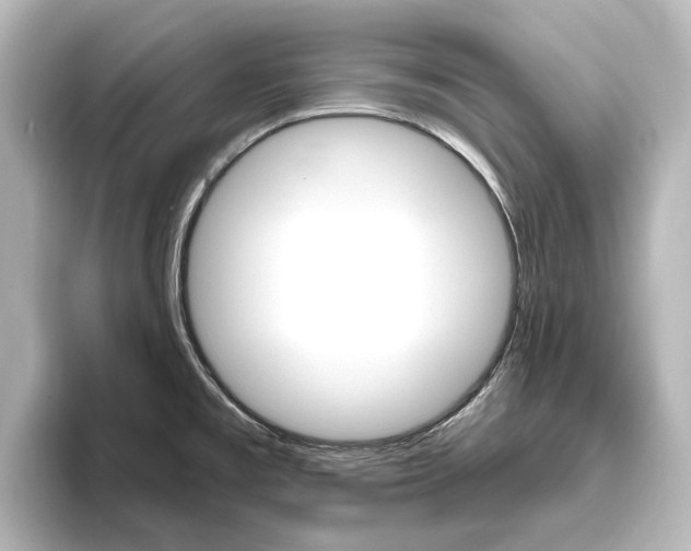 X0000096431477200801241014