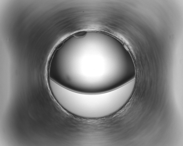 X0000096431480200801241014