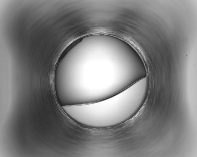 X0000096431481200801241014