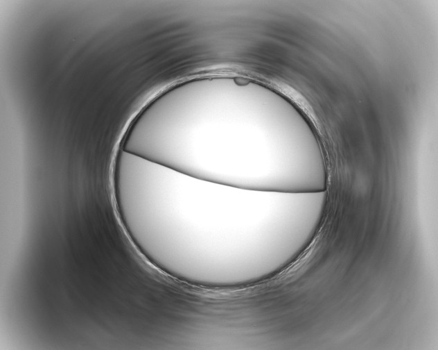 X0000096431482200801241014