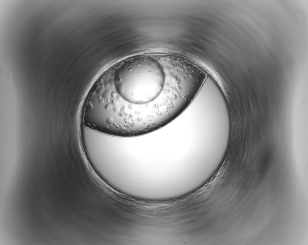 X0000096431483200801241014
