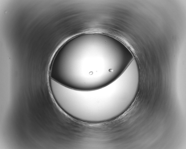 X0000096431484200801241013