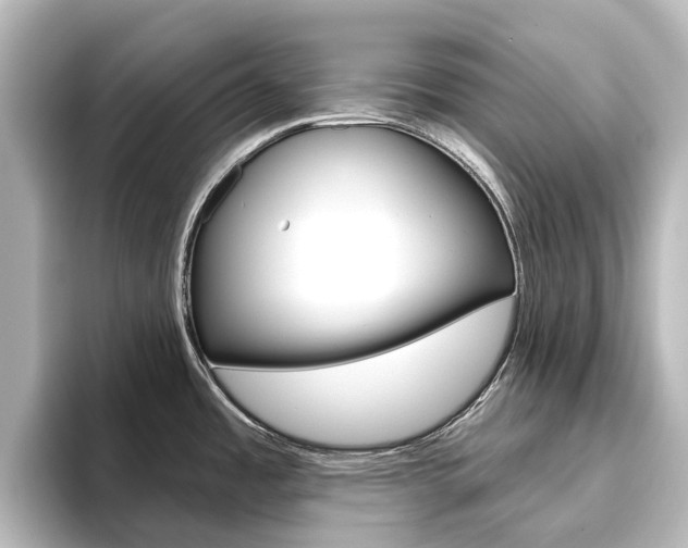 X0000096431485200801241013