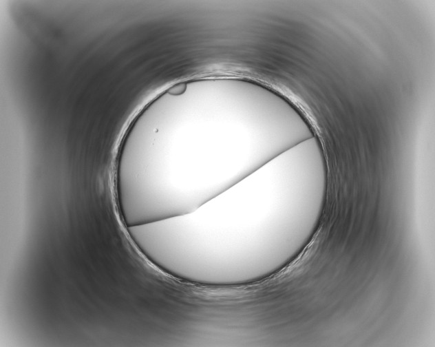 X0000096431486200801241013
