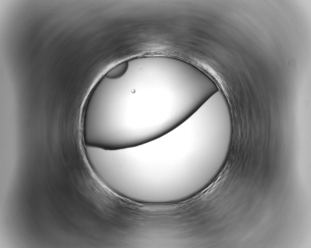 X0000096431487200801241013