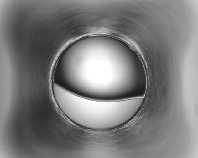 X0000096431488200801241013