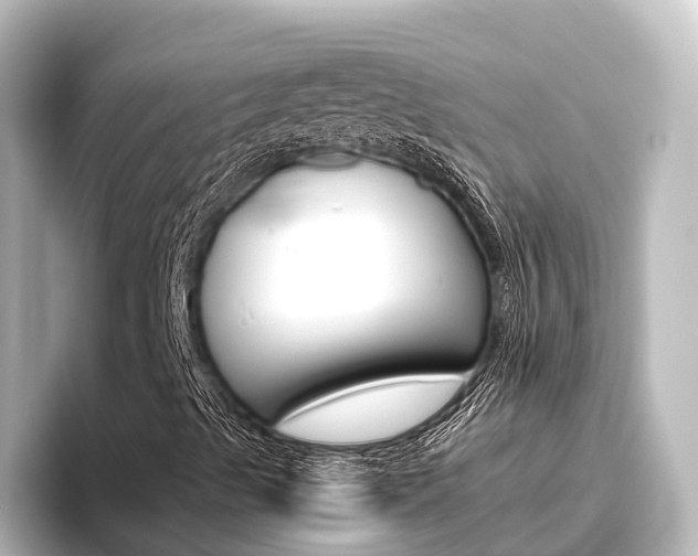 X0000096431489200801241013