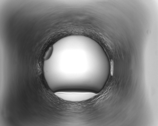 X0000096431491200801241013