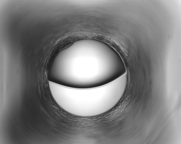 X0000096431492200801241013