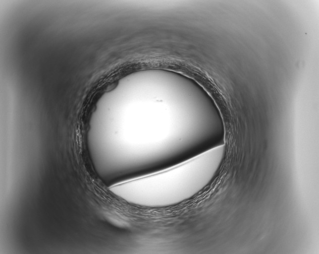 X0000096431493200801241013