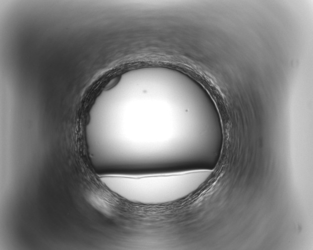 X0000096431494200801241013