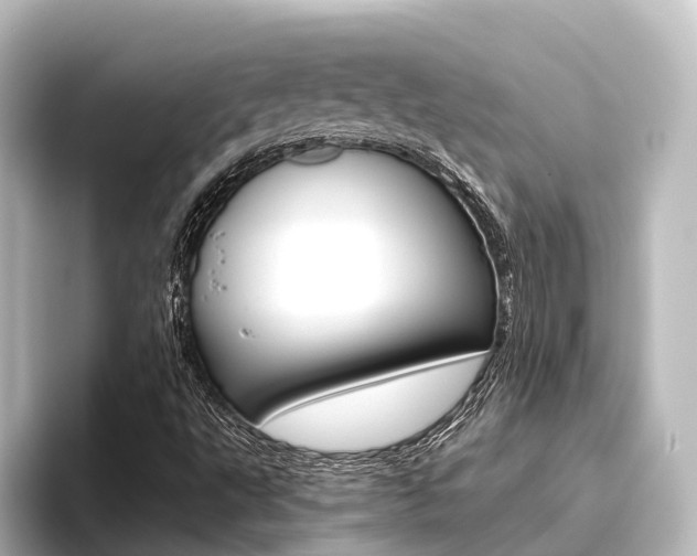 X0000096431495200801241013