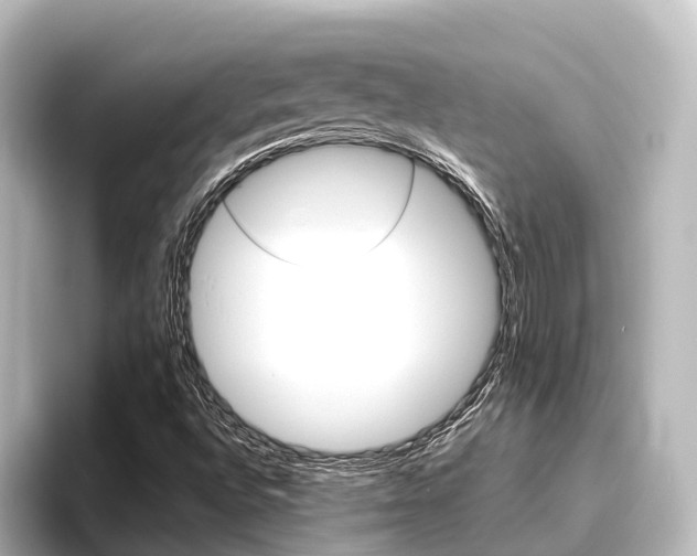 X0000096431496200801241013