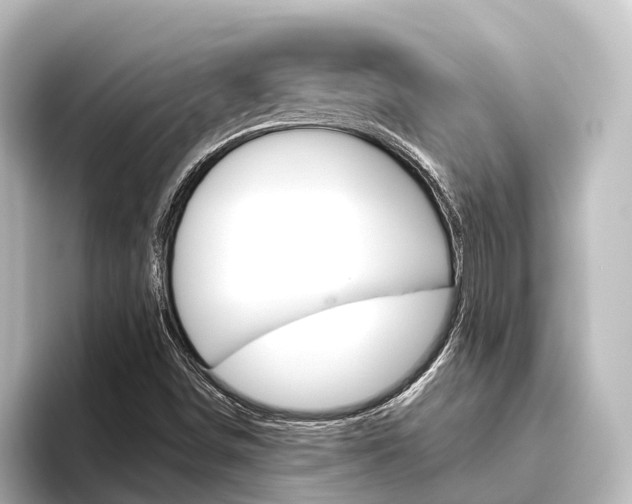 X0000096431498200801241013