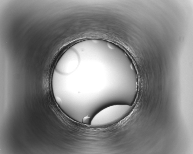 X0000096431499200801241013