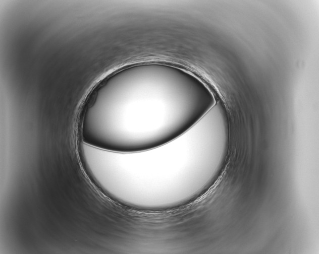 X0000096431500200801241013