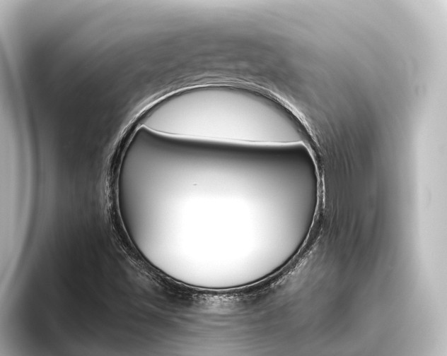 X0000096431501200801241013