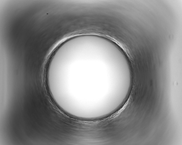 X0000096431502200801241013