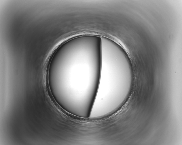 X0000096431504200801241013