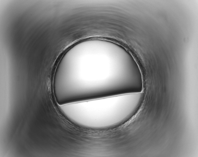 X0000096431505200801241013